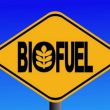 Itb Biofuel Kurangi Ketergantungan Indonesia Pada Impor Minyak 10f6a40.jpg