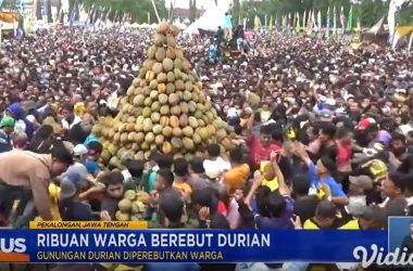 Ribuan Warga Rebutan Durian Festival Tahunan Di Pekalongan Berujung Ricuh Ee4d668.jpg