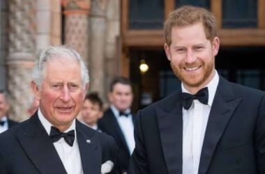 Pangeran Harry Kembali Ke Inggris Menghindar Pertemuan Dengan Pangeran William Ada Apa 389053e.jpg